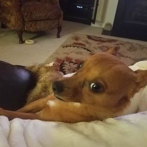 Meet your Posher, Jan